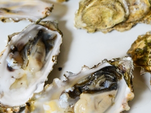oyster of the month club 3 month
