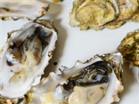 oyster of the month club 6 month