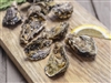Wianno Oysters from our Online Fresh Shellfish Market